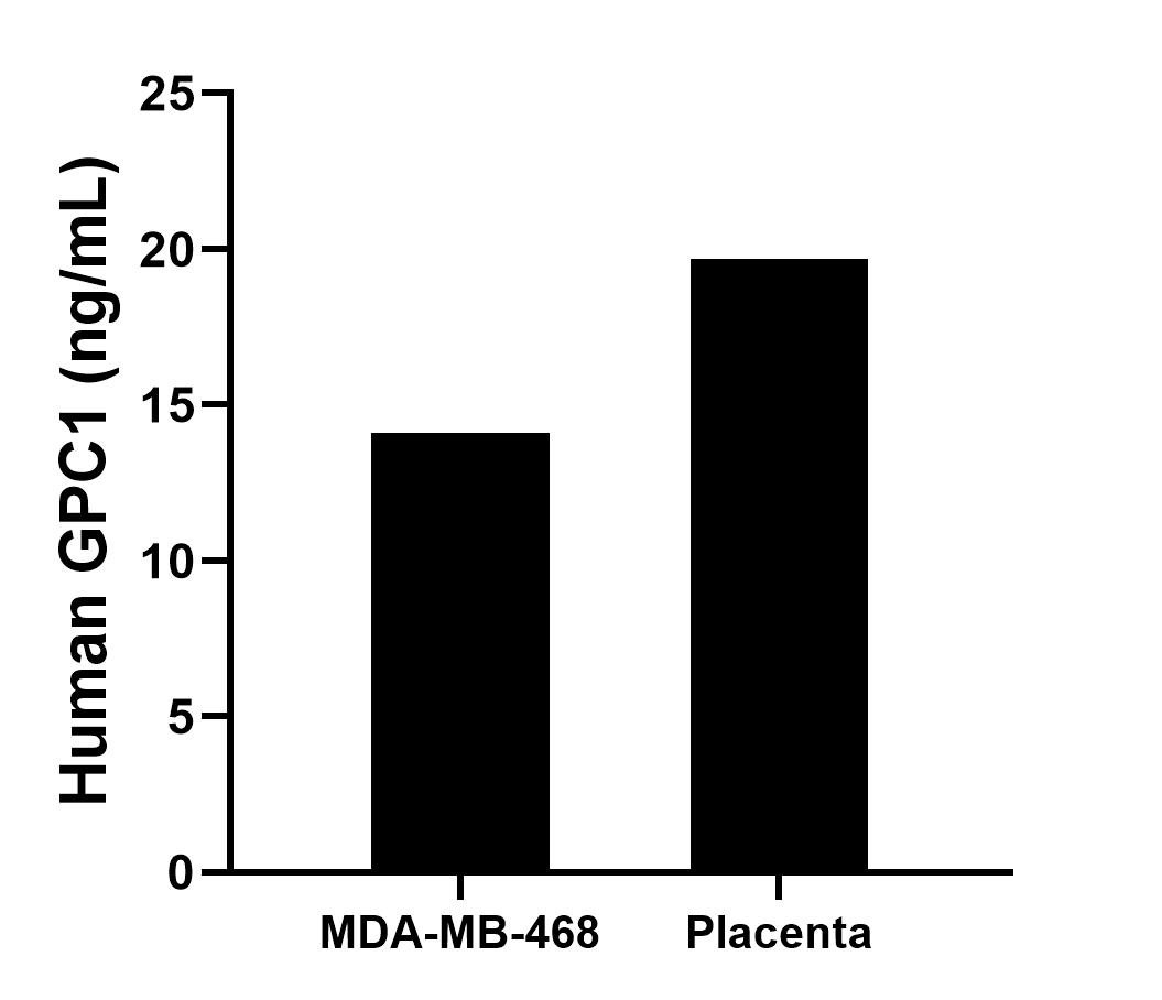 Sample test of MP00342-2